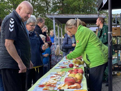 Obsttag im Pflanzencenter der Hoffnungstaler Werkstätten
