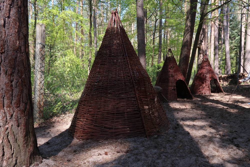 Schneckenkönig 3: Unweit der Kita findet sich die „Außenstelle“ im Wald. Dort verbringen die Kinder viel Zeit.